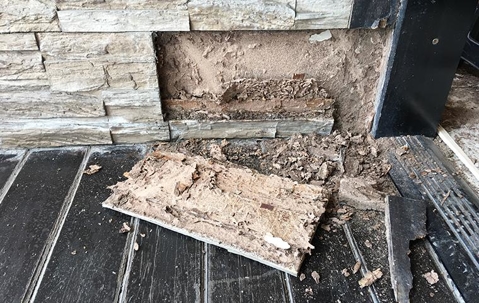termite damage in Longview
